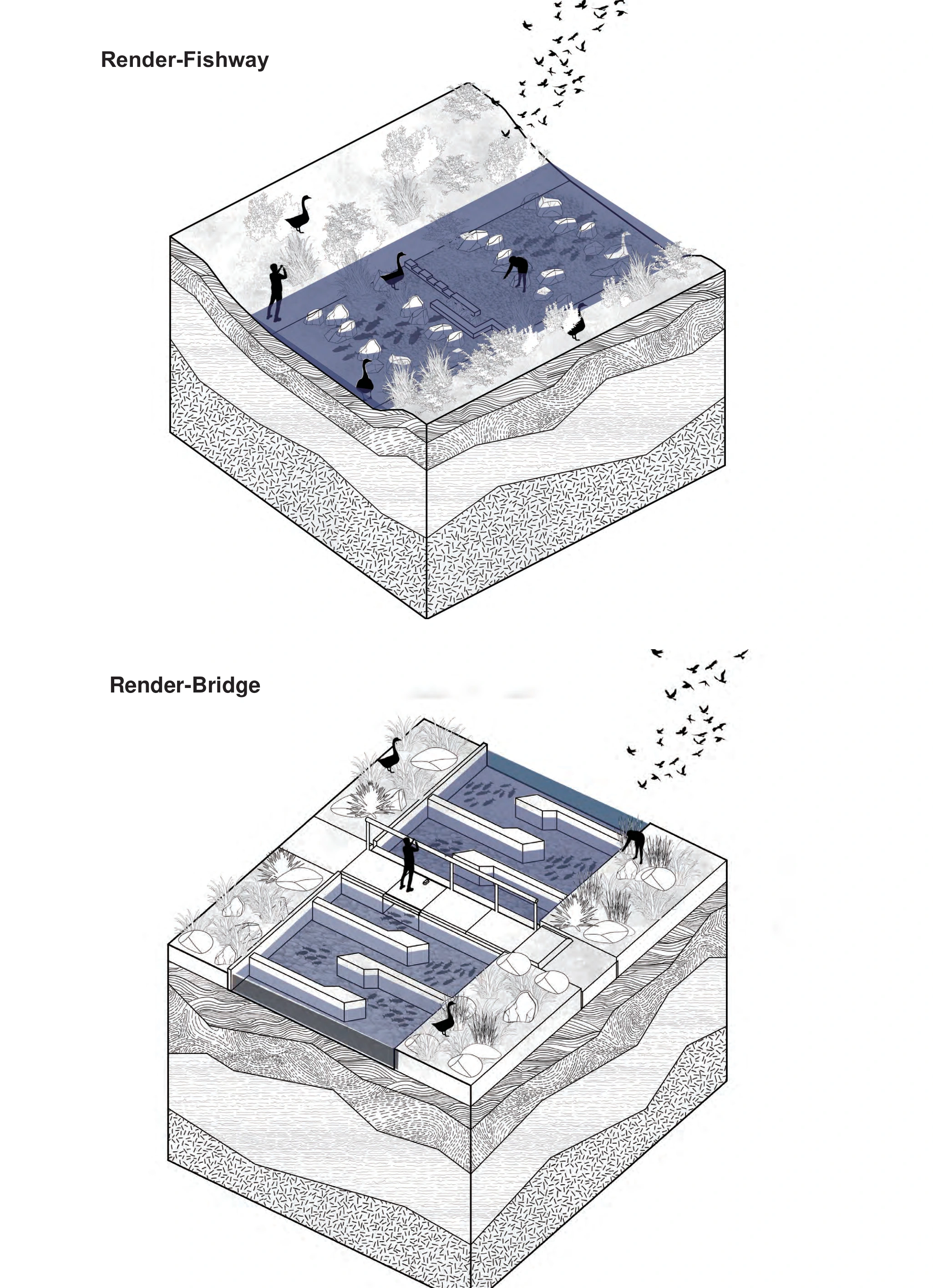 Fishway and bridge opening axonometric strategy studies
