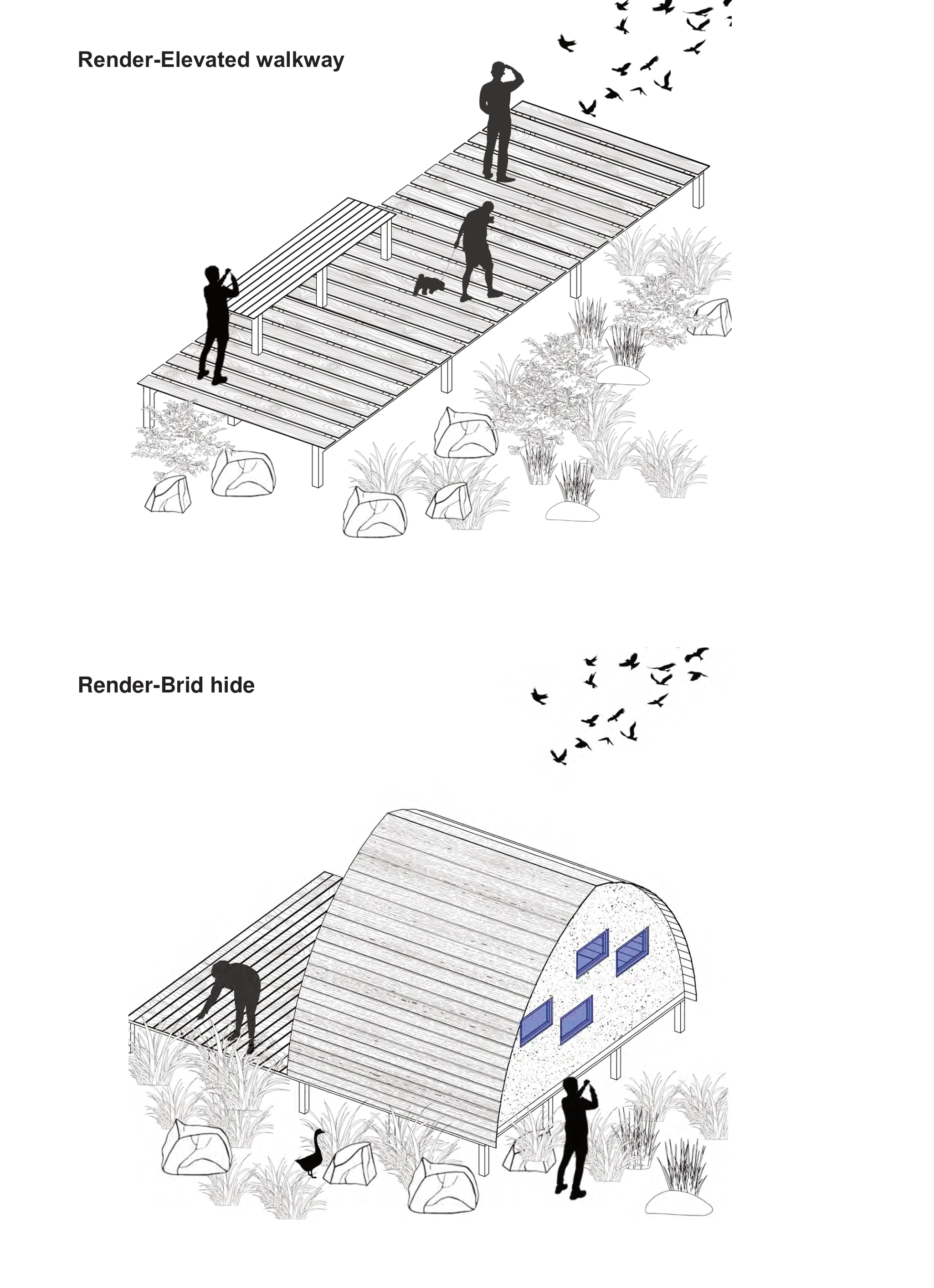Elevated walkway and bird hide axonometric strategy studies